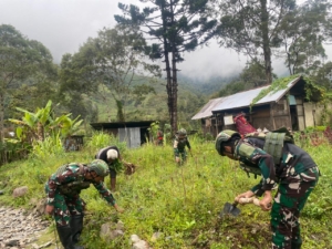 Satgas Yonif 743/PSY Wujudkan Ketahanan Pangan Lewat Pertanian Masyarakat