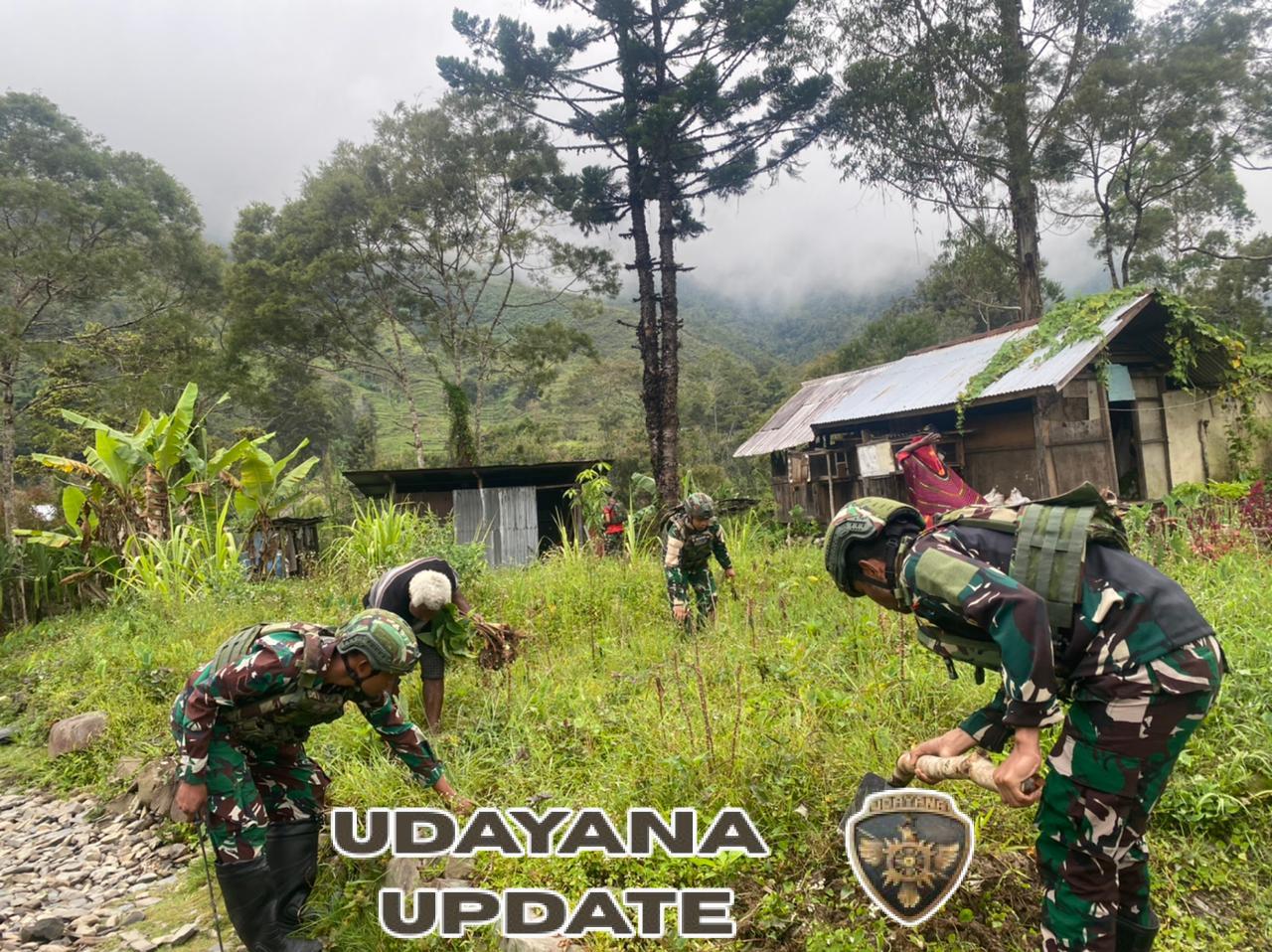 Satgas Yonif 743/PSY Wujudkan Ketahanan Pangan Lewat Pertanian Masyarakat