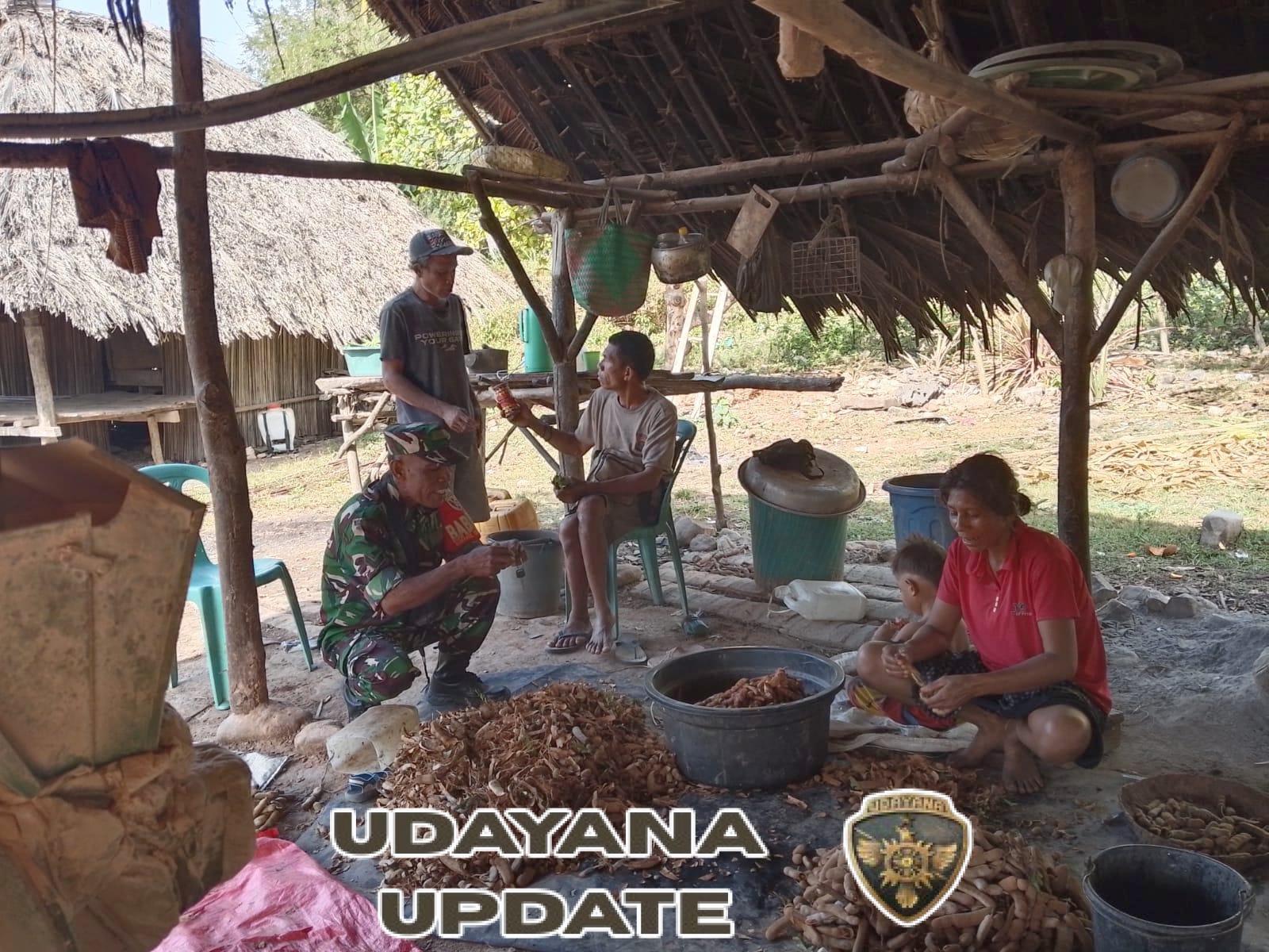 Tingkatkan Ekonomi Masyarakat, Babinsa Koramil Biudukfoho Bantu Kupas Buah Asam