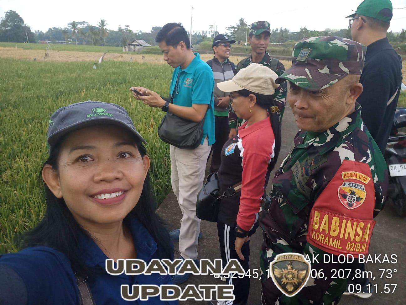 Tingkatkan Produktifitas Pertanian, Bati Wanwil Siterdim Kodim Klungkung Bersama Babinsa Bakas Turun Sawah Monitoring LTT