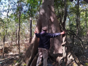‎Sinergi Lintas Sektor Amankan Hutan RTK 61 dari Perambahan