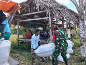 Babinsa Kodim 1601/Sumba Timur Dorong Pemanfaatan Mesin Pertanian di Hadakamali