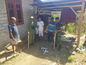 TNI Aktif Dalam Pencegahan Rabies di Manggarai, 9 HPR Dieliminasi