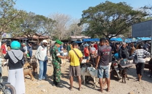 Cegah Gangguan Kamtibmas, Babinsa Koramil Aesesa Aktif Awasi Pasar Hewan di Kecamatan Aesesa