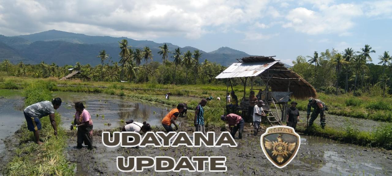 Sertu Ibrahim Mau Dukung Ketahanan Pangan di Kecamatan Abad