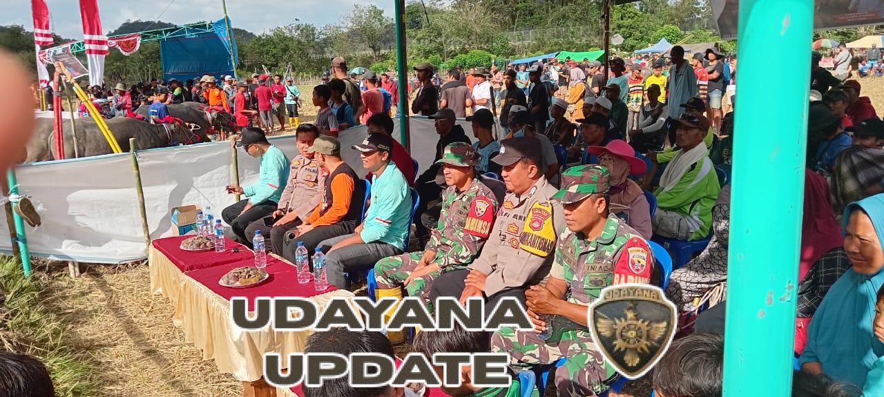 Koptu Sufyan Ikut Serta Meriahkan Festival Barapan Kebo Sekongkang 2025