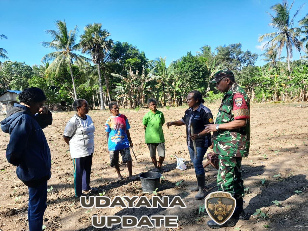 Babinsa Koramil 1618-04/Bisel Dampingi Pelatihan KWT Bannae Buat Pestisida Nabati