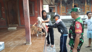 Wujud Kepedulian, Babinsa Hadir Pastikan Vaksinasi Hewan Berjalan Aman dan Lancar