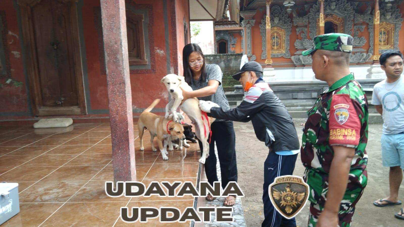 Wujud Kepedulian, Babinsa Hadir Pastikan Vaksinasi Hewan Berjalan Aman dan Lancar