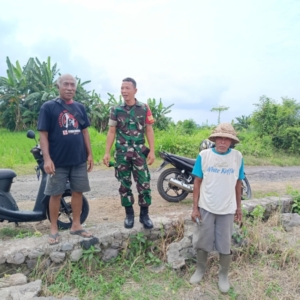 Babinsa Aktif Dampingi Petani Subak Sukun, Wujud Kepedulian TNI pada Ketahanan Pangan