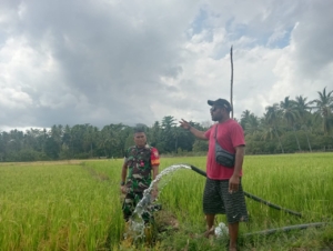 Babinsa Koramil 1602-04/Maurole Dorong Ketahanan Pangan Lewat Pemantauan Pompa Air