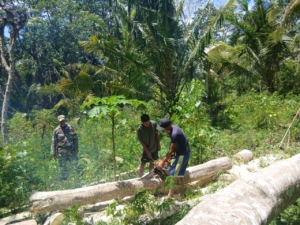 Wujud Kepedulian Babinsa Nekmese Pada Keamanan Kerja Masyarakat