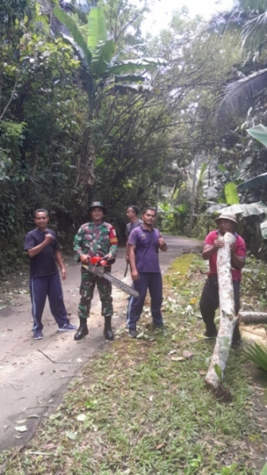 Babinsa Dawan Kaler Tangani Pohon Tumbang Di Banjar Pasekan