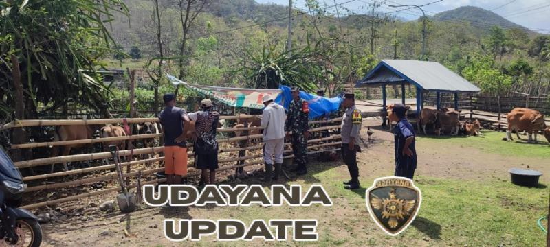 Babinsa Kelanir Dampingi Registrasi Ternak oleh Dinas Pertanian di Kecamatan Seteluk