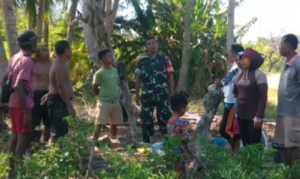 Komsos Bersama Petani, Babinsa Ingatkan Pentingnya Kekompakan dan Gotong Royong