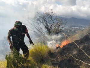 Kebakaran Hutan di Bukit Embu Misi, Babinsa dan Warga Berjuang di Tengah Medan Terjal