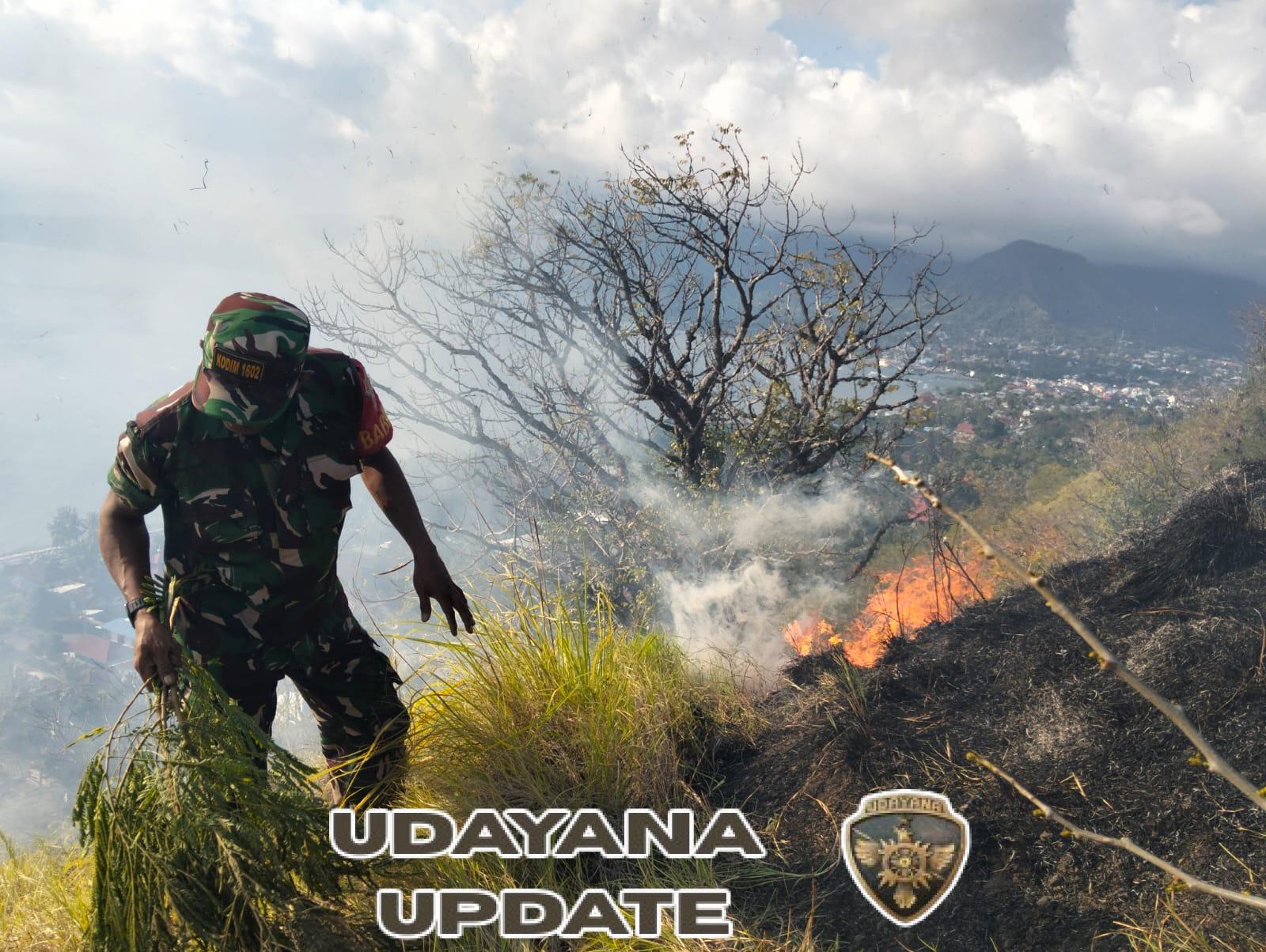 Kebakaran Hutan di Bukit Embu Misi, Babinsa dan Warga Berjuang di Tengah Medan Terjal