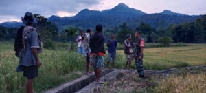 Babinsa Koramil 1618-01/Miotim Menyatu dengan Petani di Tengah Sawah Desa Sunkaen