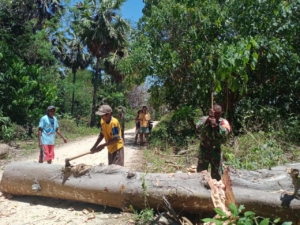 Babinsa Sertu Andre T Dampingi Warga Folodale Buat Sampan Tradisional
