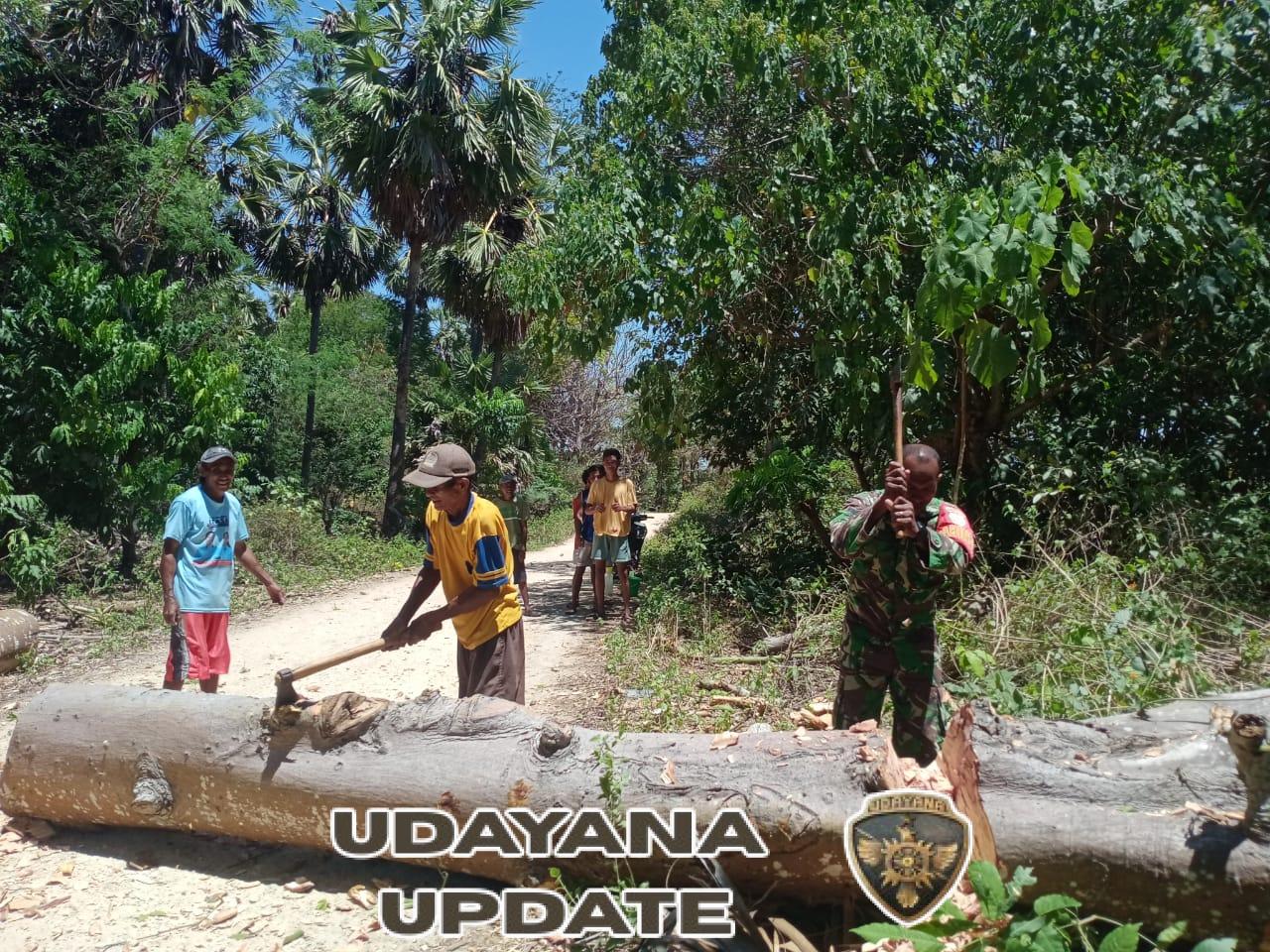 Babinsa Sertu Andre T Dampingi Warga Folodale Buat Sampan Tradisional