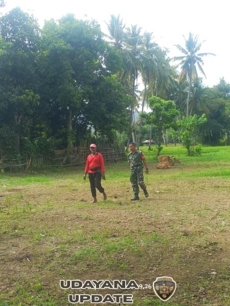 Babinsa Kelurahan Sampir Dampingi Kegiatan Register dan Vaksinasi Ternak Tahun 2025