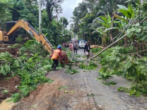 Babinsa Kenderan Sigap Evakuasi Pohon Tumbang, Arus Listrik dan Jalan Raya Kembali Normal
