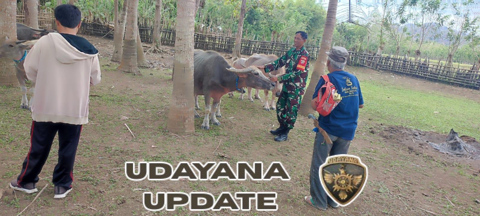 Babinsa Desa Kelanir Dampingi Registrasi Ternak oleh Dinas Pertanian di Kecamatan Seteluk