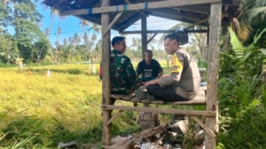 Sinergi TNI dan Polri: Babinsa-Bhabinkamtibmas Sumberkima Pantau Ketahanan Pangan di Lahan Petani