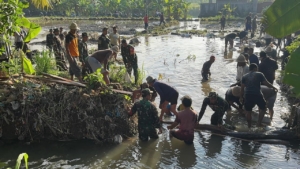 Danramil Kapten Inf I Wayan Sudana Turun Langsung Bantu Petani di Subak Sema