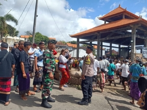 Tradisi mepeed Digelar Dusun Jurungaya, Babinsa Kutampi Hadir Lakukan Pengawalan