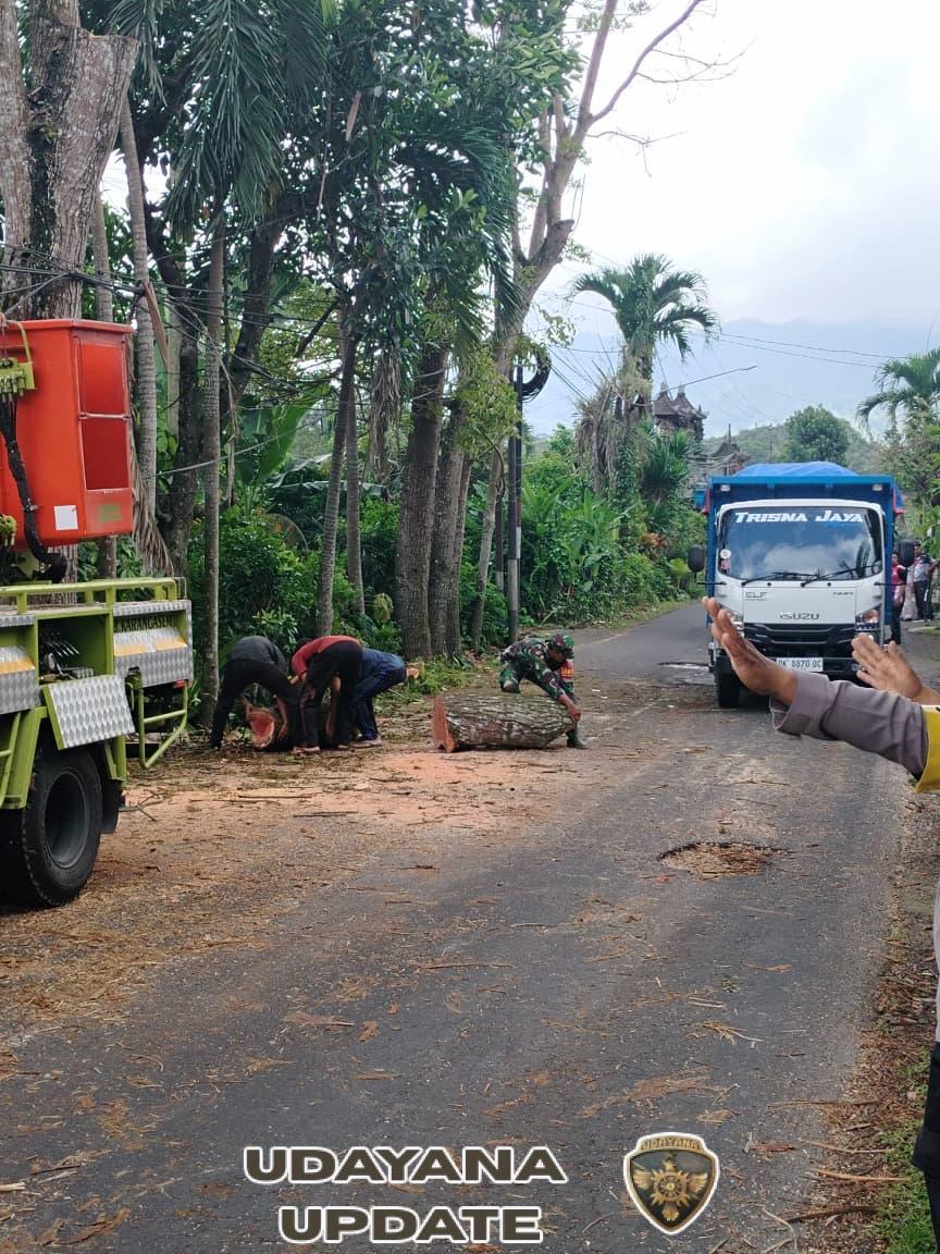 Cegah pohon tumbang, Babinsa 1623-04/Sidemen amankan kegiatan pemangkasan pohon oleh DLH.