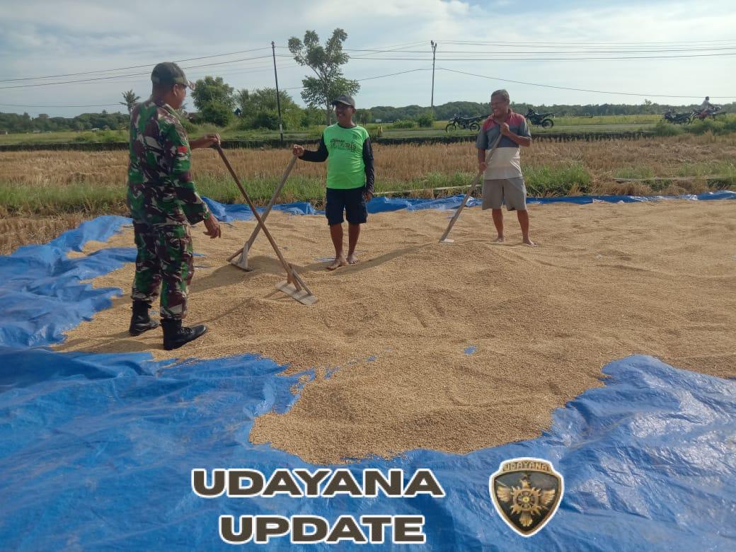 Sinergi TNI dan Warga: Babinsa Koramil 1612-02/Reok Perkuat Ketahanan Pangan Desa