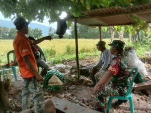 Babinsa Desa Tapir Laksanakan Komsos dengan Kelompok Tani, Wujud Kepedulian TNI terhadap Petani