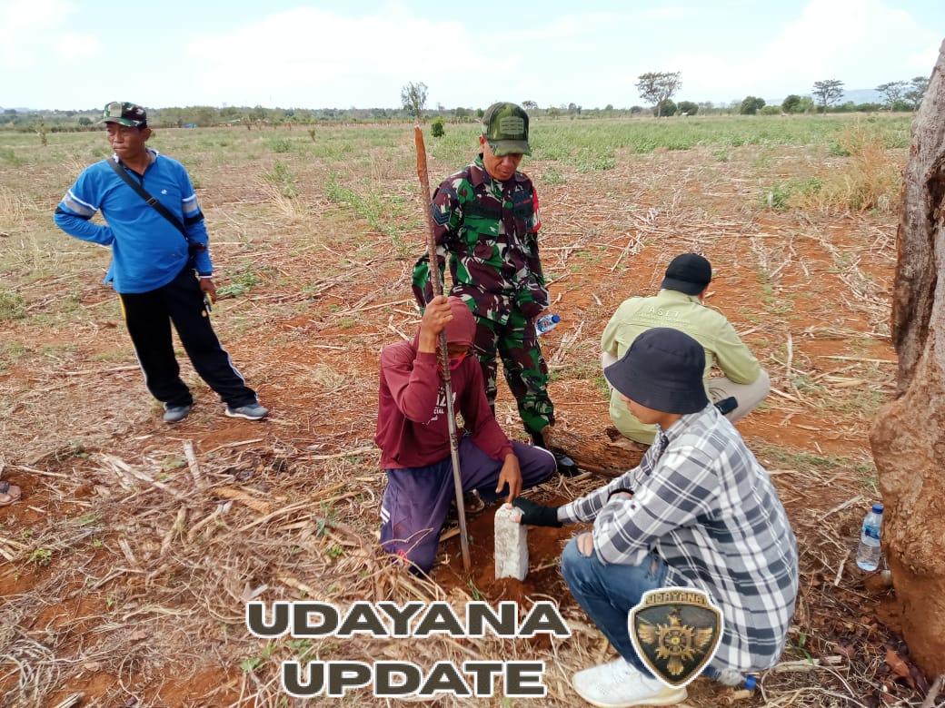 Dukung Program Pemerintah, Babinsa Labangka Hadiri Pemasangan Pal Batas KTM