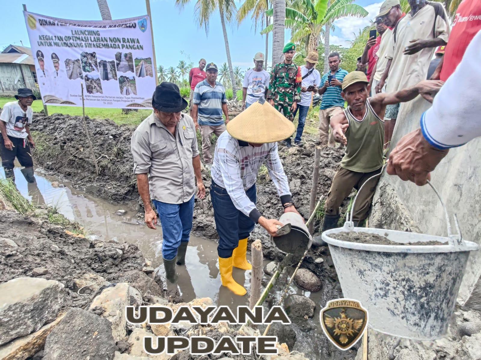 Babinsa Koramil 1625-05/Aesesa Hadiri Launching Optimasi Lahan Non Rawa di Desa Marapokot