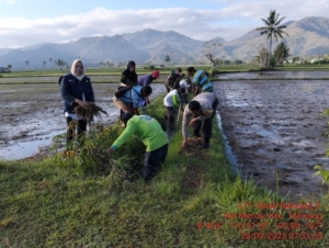 Babinsa Menala Ajak Petani Gotong Royong Bersihkan Saluran Irigasi Sambut Kunjungan Gubernur NTB