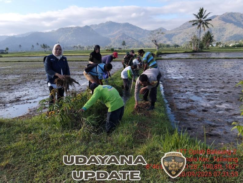Babinsa Menala Ajak Petani Gotong Royong Bersihkan Saluran Irigasi Sambut Kunjungan Gubernur NTB