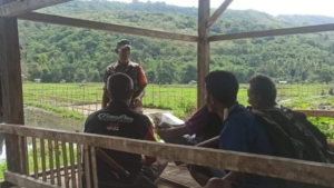 Babinsa Sertu Densius Berno Turun ke Sawah, Dukung Ketahanan Pangan di Kotabaru