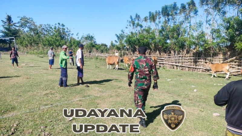 Babinsa Mantar Dampingi Register dan Vaksinasi Ternak di Kecamatan Poto Tano