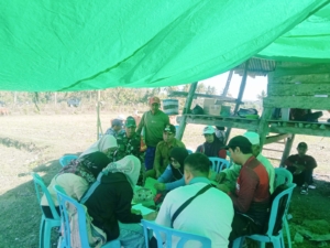 Babinsa Desa Air Suning Dampingi Vaksinasi dan Registrasi Hewan Ternak