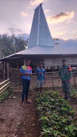 Babinsa Lewa Jalin Komsos dengan Petani Sayur di Desa Kambuhapang