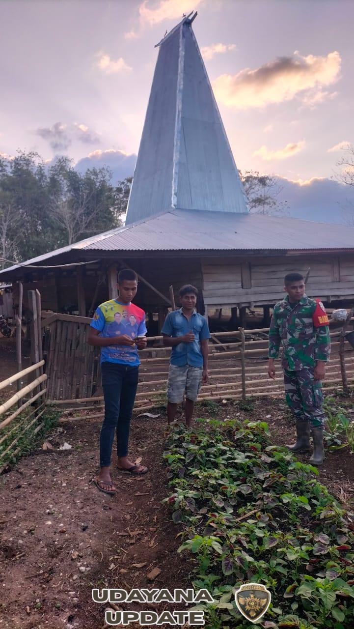 Babinsa Lewa Jalin Komsos dengan Petani Sayur di Desa Kambuhapang