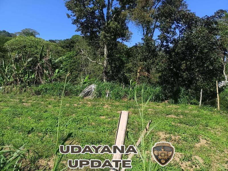 Koramil 1609-05/Sukasada Dukung Pengecekan Lahan Pengolahan Sampah di Desa Pancasari