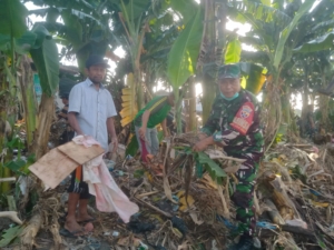 Babinsa Pemecutan Kelod dan Warga Bersihkan Sampah di Aliran Sungai