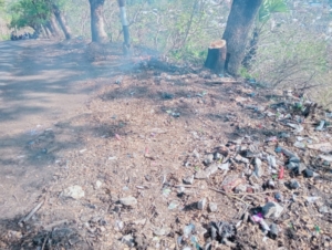 Sinergi TNI, Pemerintah, dan Masyarakat Implementasikan Program MARASO di Rasanae Timur