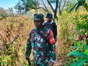 Sinergi TNI, Polri, dan TN Tambora: Cegah Penebangan Liar dan Perburuan Satwa