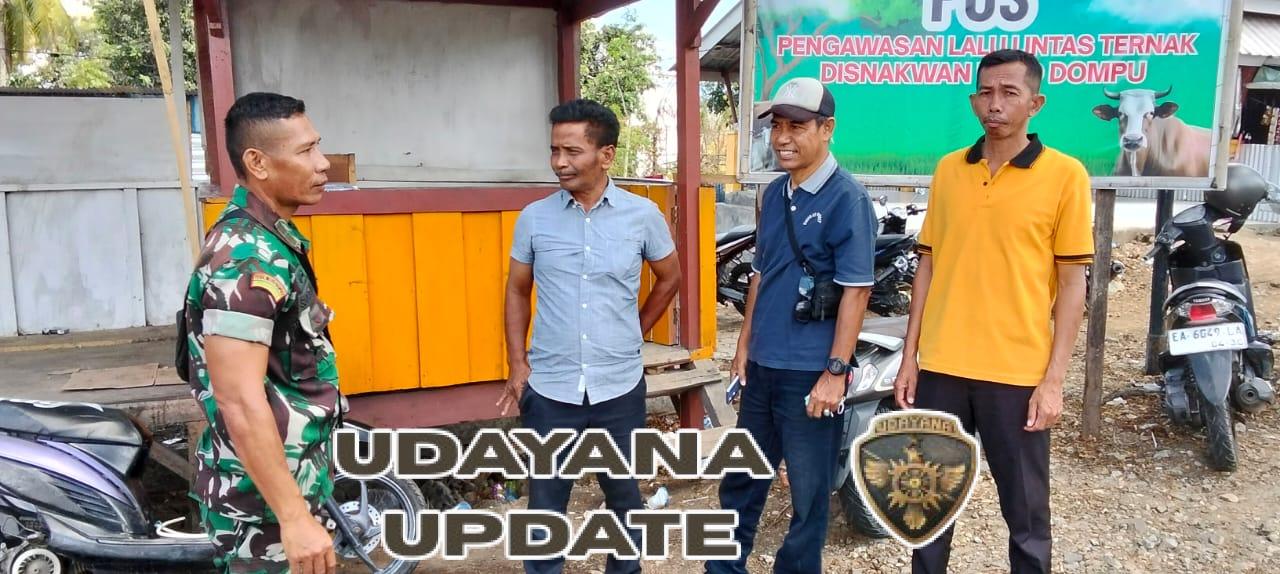 Komsos Babinsa Dompu Bersama Petugas Pos Hewan Ternak