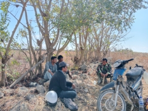 Babinsa Pahunga Lodu Dampingi Petani Panen Padi dengan Mesin Potong