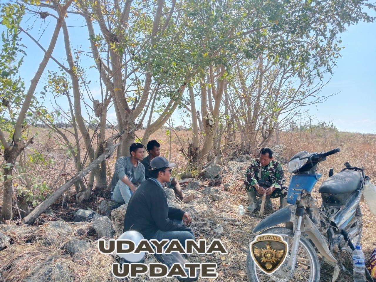 Dekat dengan Warga, Babinsa Rindi Umalulu Laksanakan Komsos di Lokasi Panen Tebu