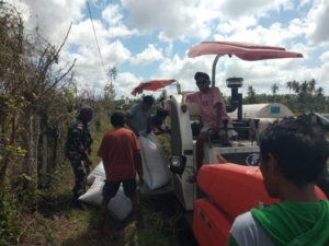 Sertu Yohan Saekoko Bantu Panen Padi di Mburukulu Gunakan Mesin Modern